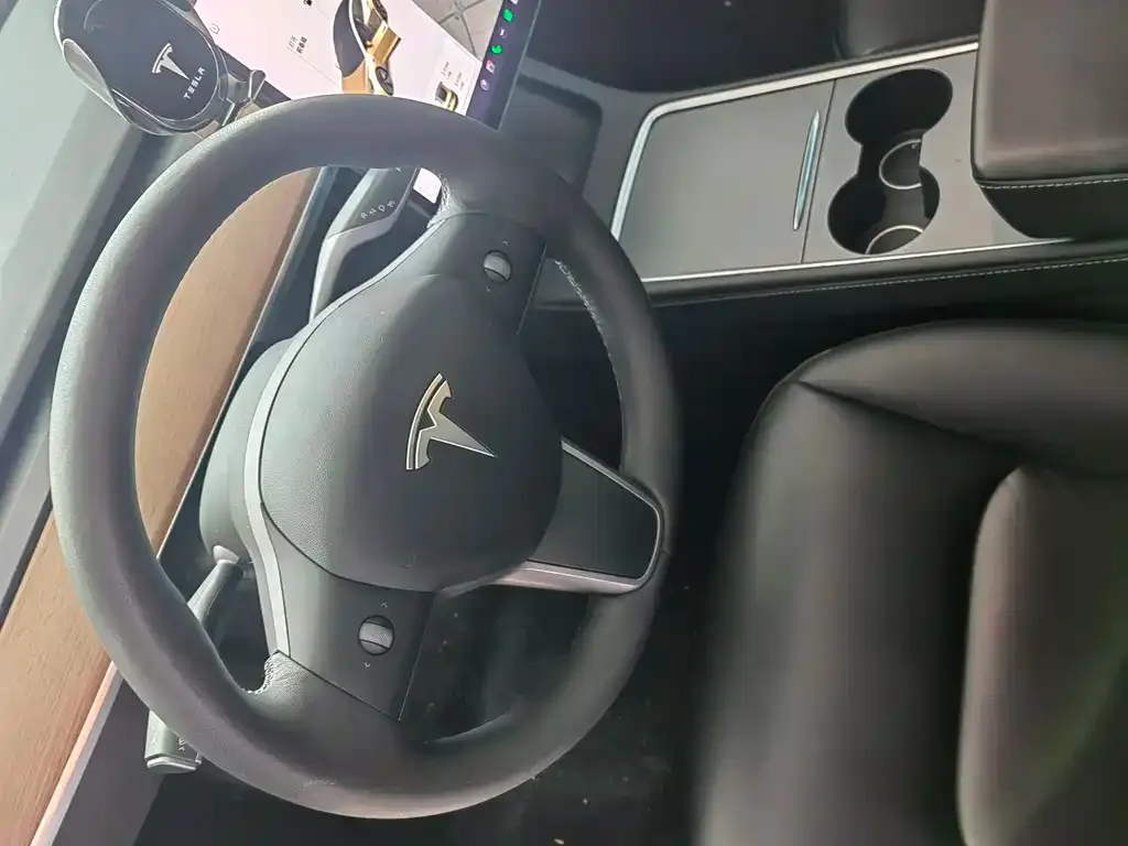 Tesla Model 3 2021 из CN, фото 3