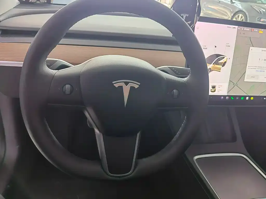 Tesla Model 3 2021 из CN, фото 5