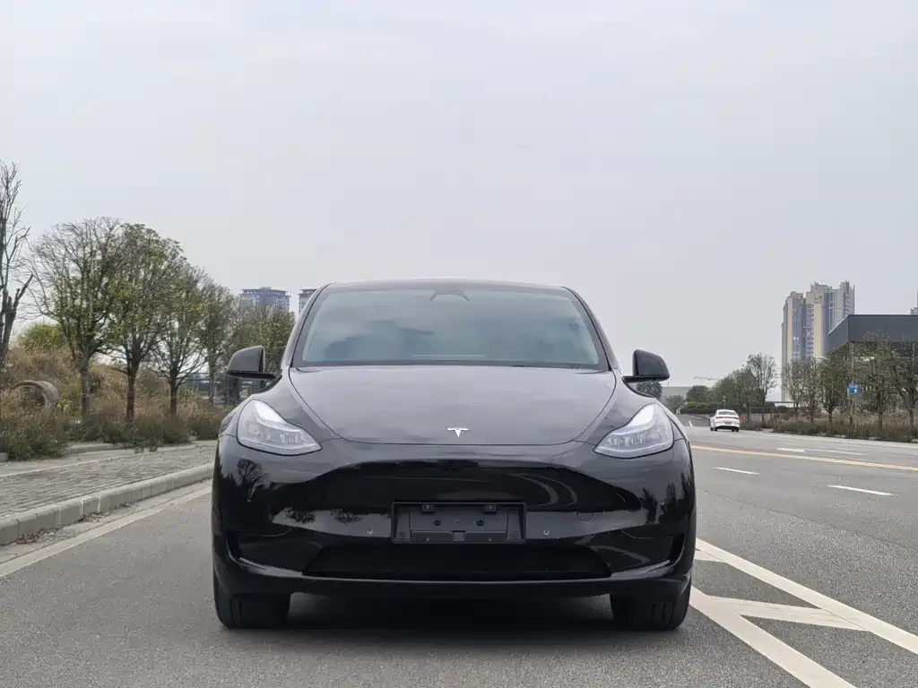 Tesla Model Y — фото 2