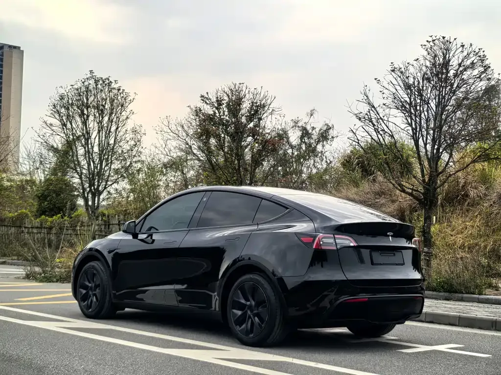 Tesla Model Y — фото 8