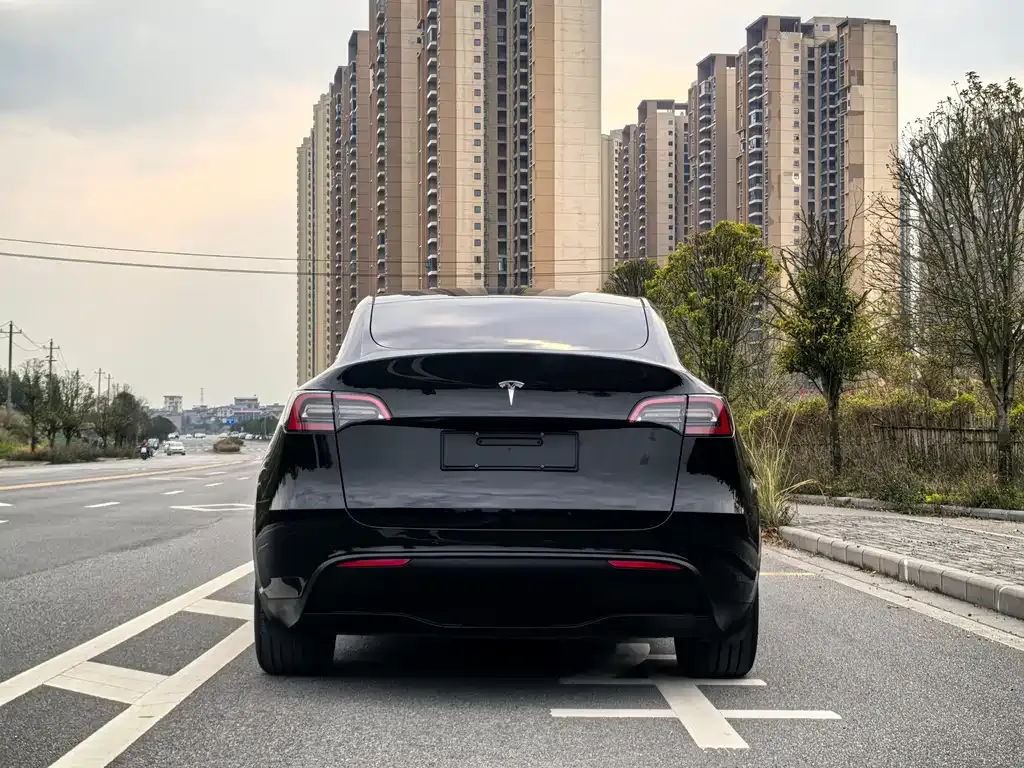 Tesla Model Y — фото 7