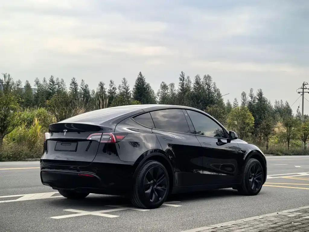 Tesla Model Y — фото 9