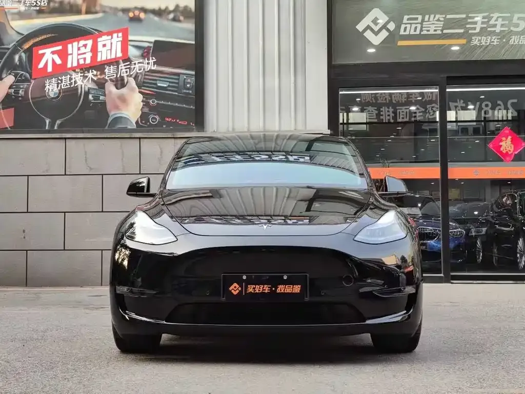 Tesla Model Y 2021 из CN, фото 6