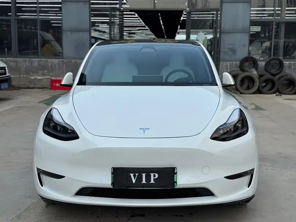 Tesla Model Y — фото 8