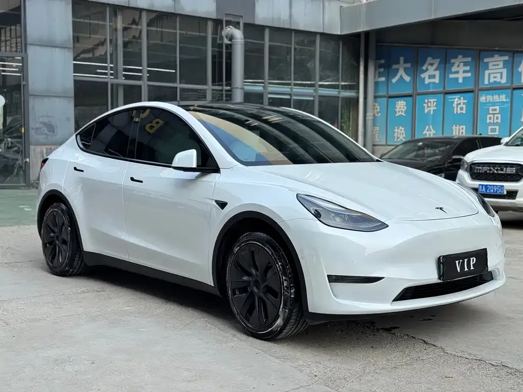 Tesla Model Y — фото 9