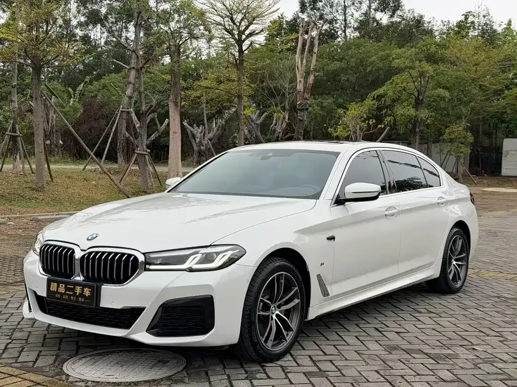 BMW 5 Series (Import) — фото 1