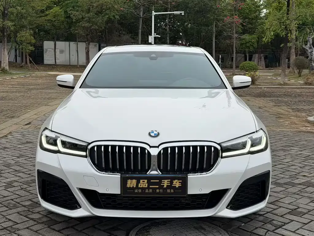 BMW 5 Series (Import) — фото 9
