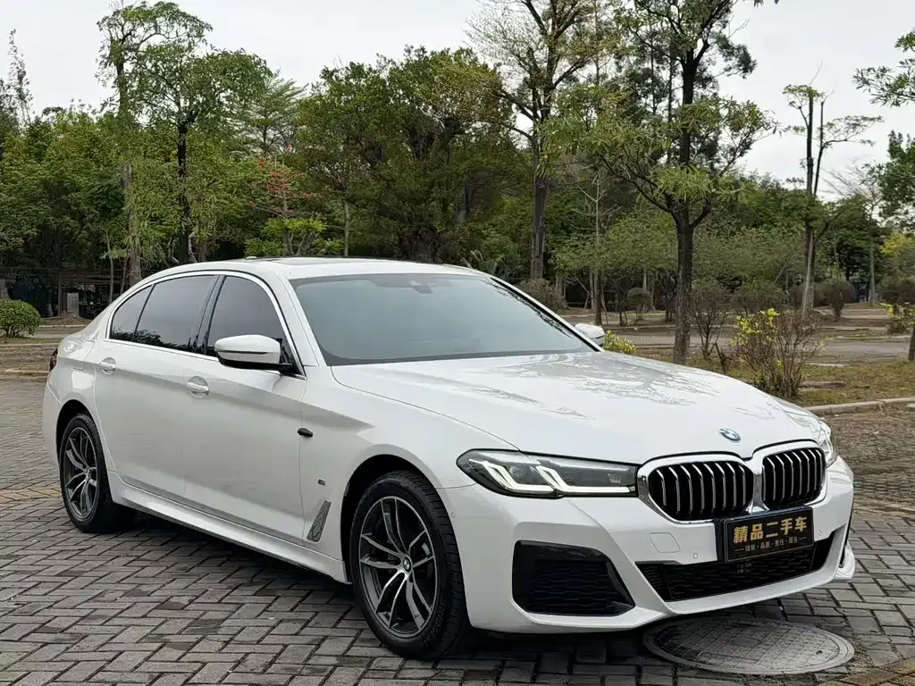 BMW 5 Series (Import) — фото 2