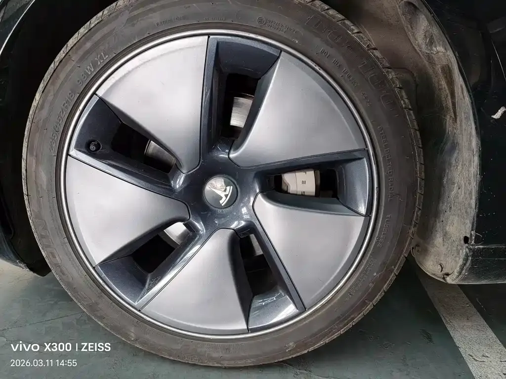 Tesla Model 3 2021 из CN, фото 4