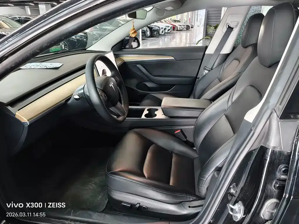 Tesla Model 3 2021 из CN, фото 6