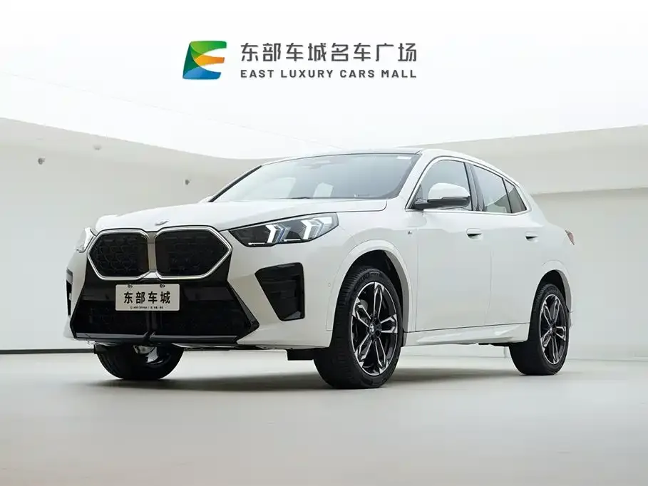 BMW X2 (Import) 2025 из CN, фото 1