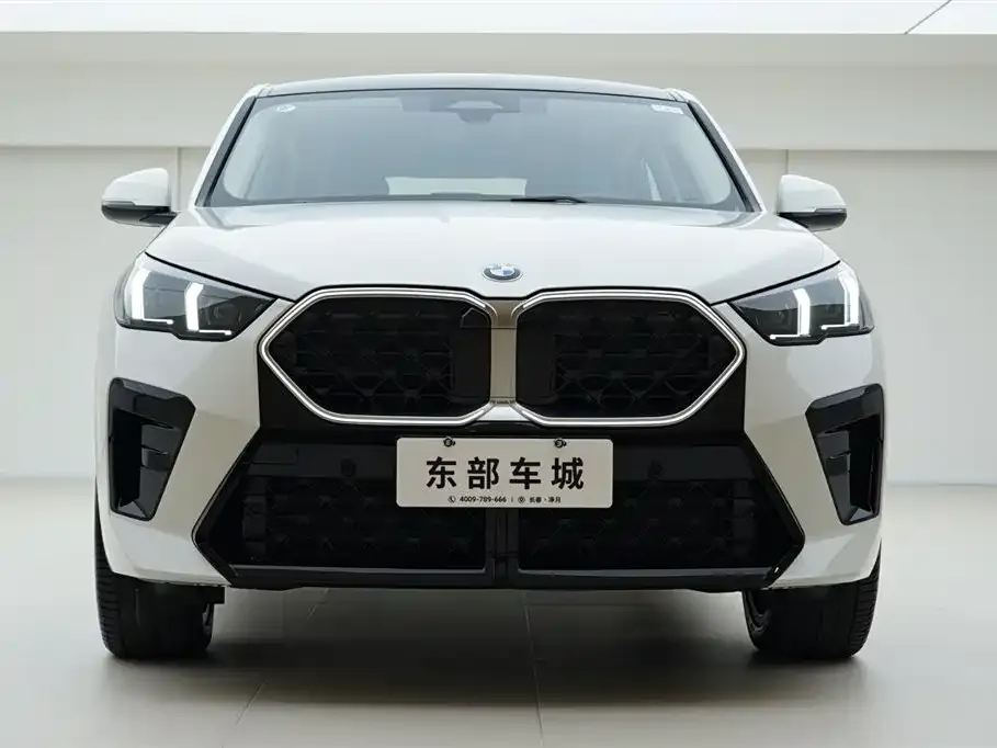 BMW X2 (Import) 2025 из CN, фото 8