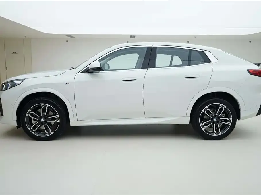 BMW X2 (Import) 2025 из CN, фото 3