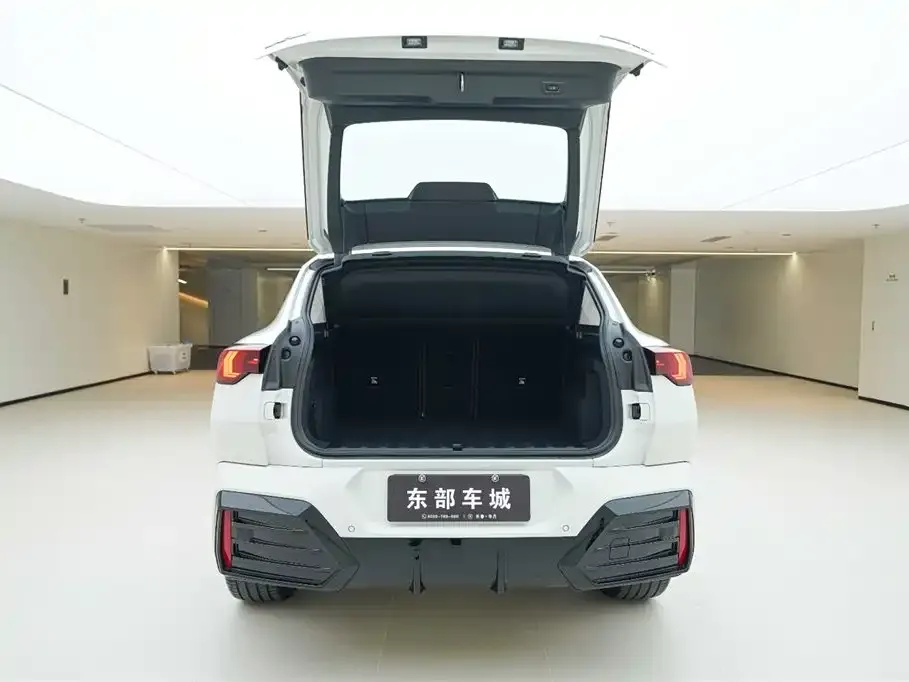 BMW X2 (Import) 2025 из CN, фото 4
