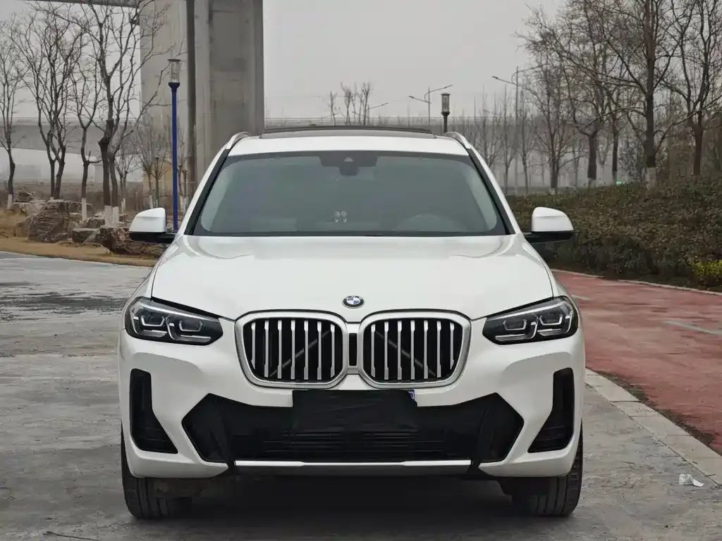 BMW X3 2022 из CN, фото 3