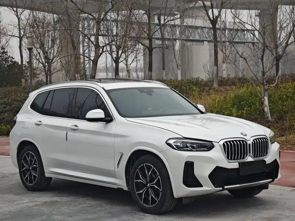 BMW X3 2022 из CN, фото 7