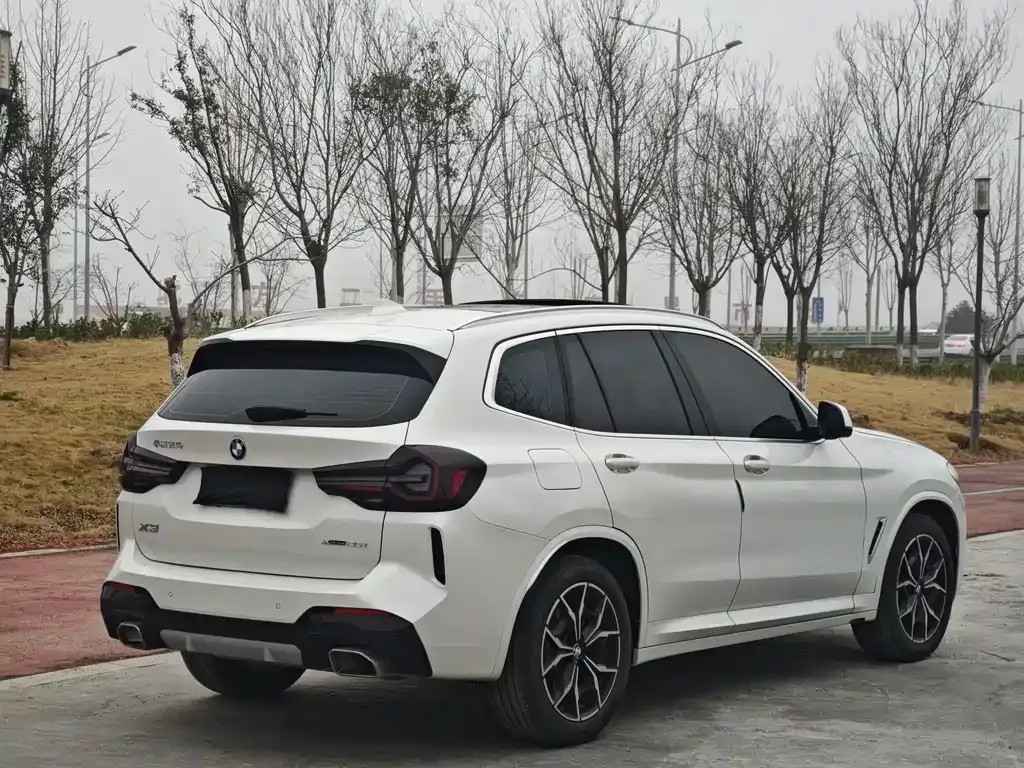 BMW X3 2022 из CN, фото 6