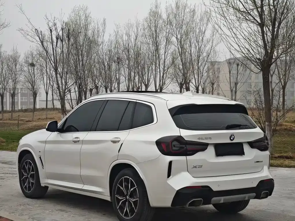 BMW X3 2022 из CN, фото 9
