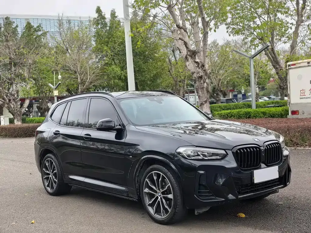 BMW X3 2024 из CN, фото 10