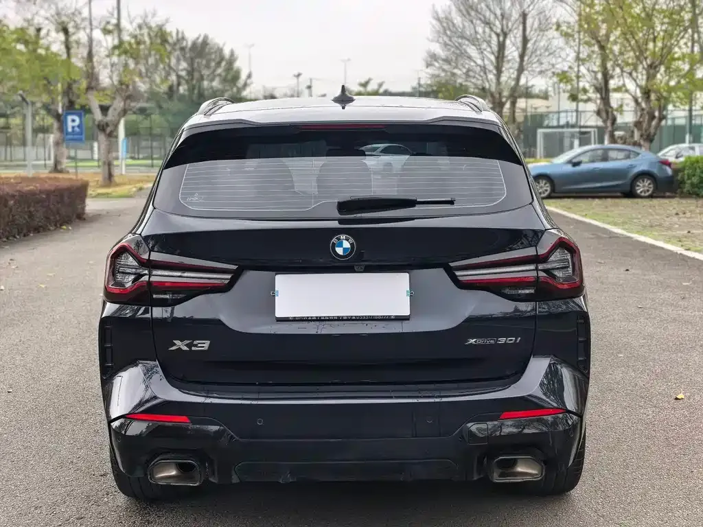BMW X3 2024 из CN, фото 6