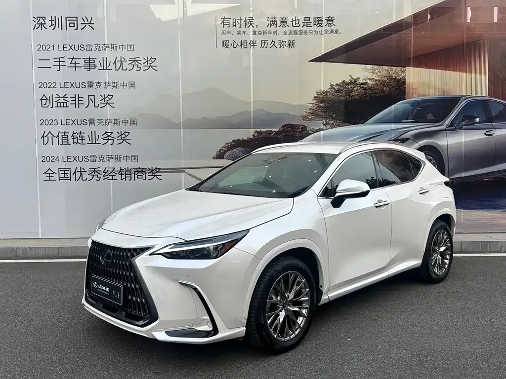 Lexus NX 2024 из CN, фото 1