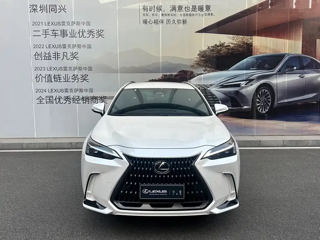 Lexus NX 2024 из CN, фото 10