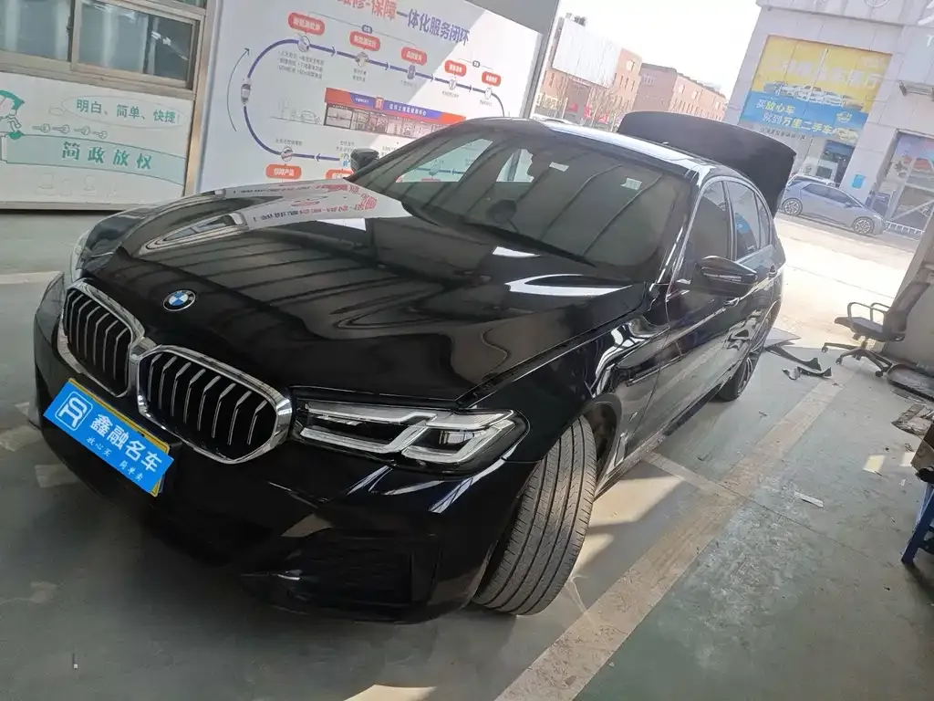 BMW 5 Series 2021 из CN, фото 1