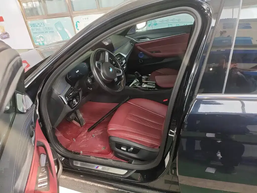 BMW 5 Series 2021 из CN, фото 9