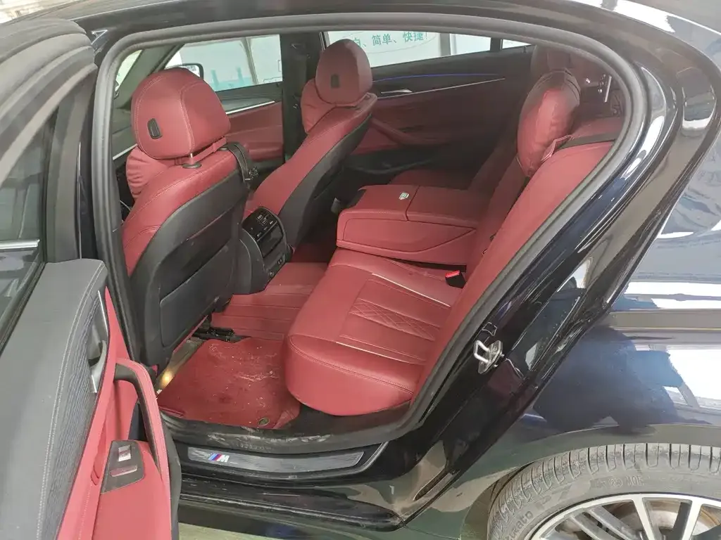 BMW 5 Series 2021 из CN, фото 7