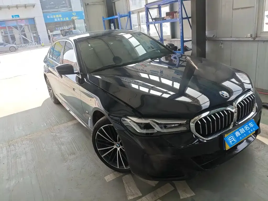 BMW 5 Series 2021 из CN, фото 4