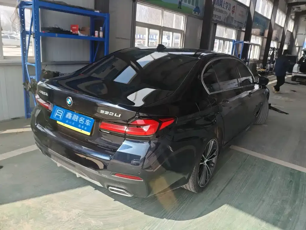 BMW 5 Series 2021 из CN, фото 5