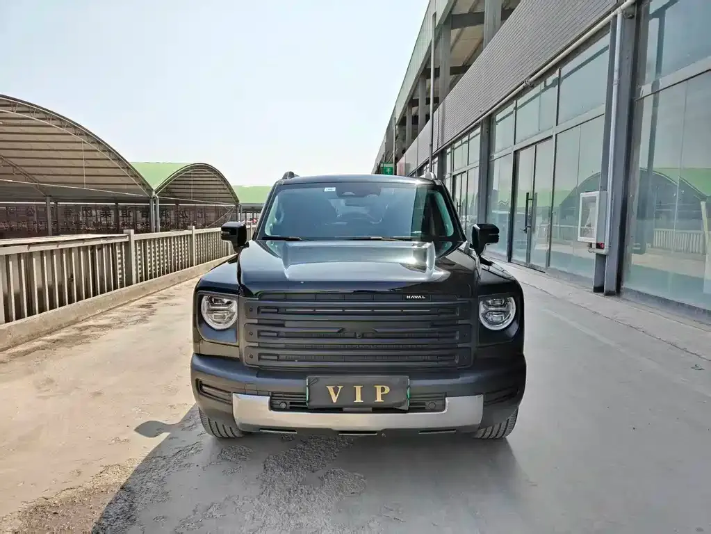 Haval Menglong New Energy 2024 из CN, фото 2