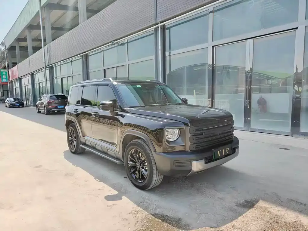 Haval Menglong New Energy 2024 из CN, фото 5