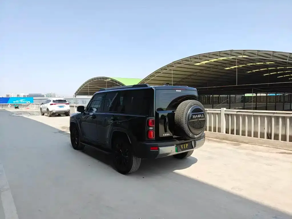 Haval Menglong New Energy 2024 из CN, фото 3