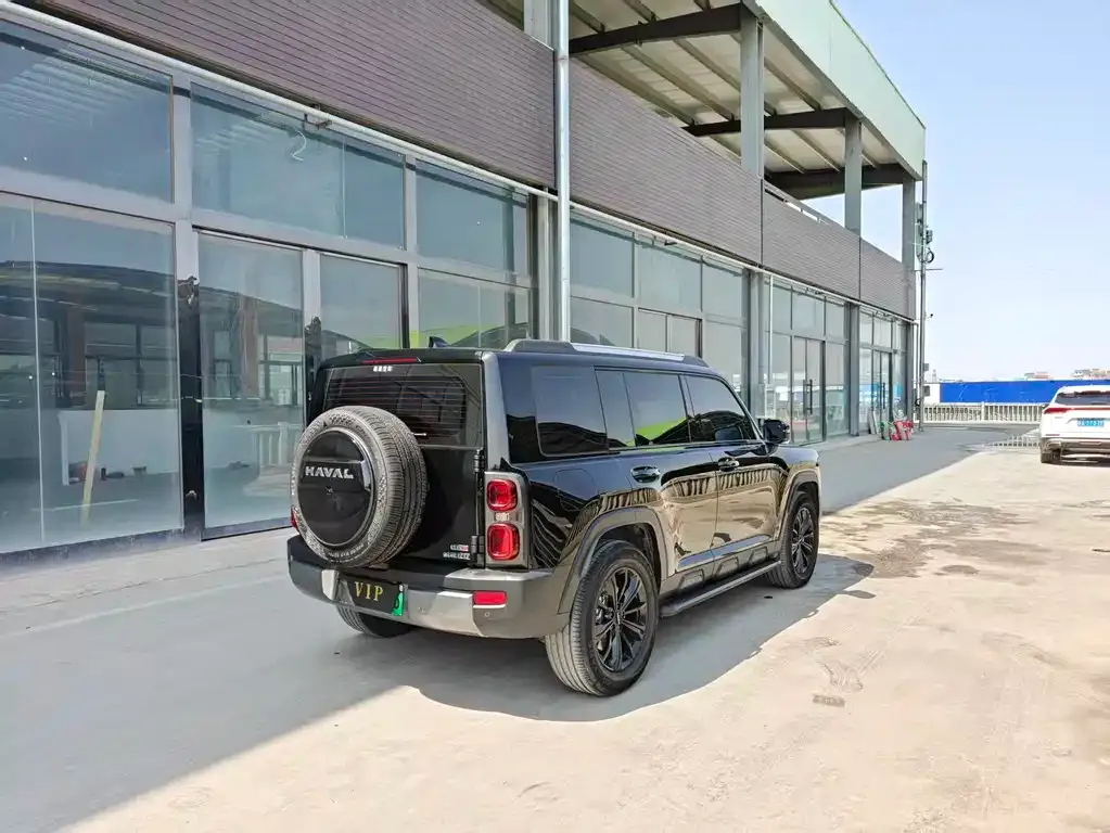 Haval Menglong New Energy 2024 из CN, фото 8