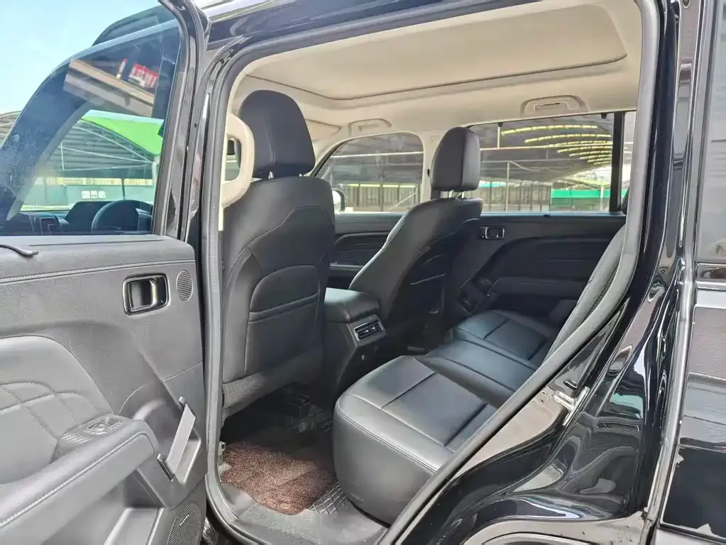 Haval Menglong New Energy 2024 из CN, фото 4