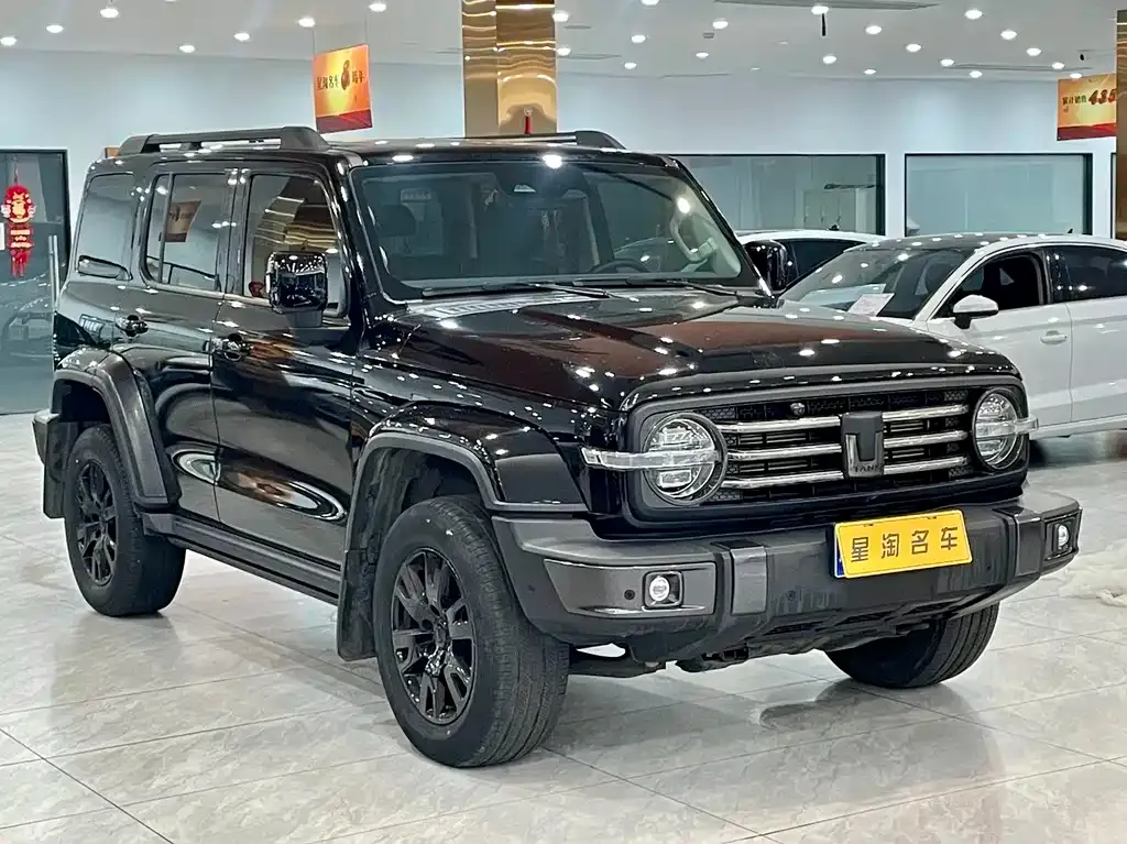 Tank 300 2022 из CN, фото 4