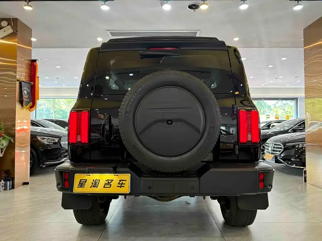 Tank 300 2022 из CN, фото 8