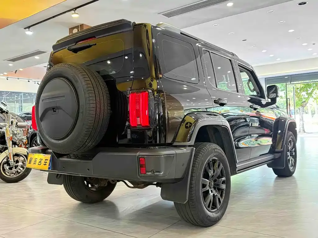 Tank 300 2022 из CN, фото 6