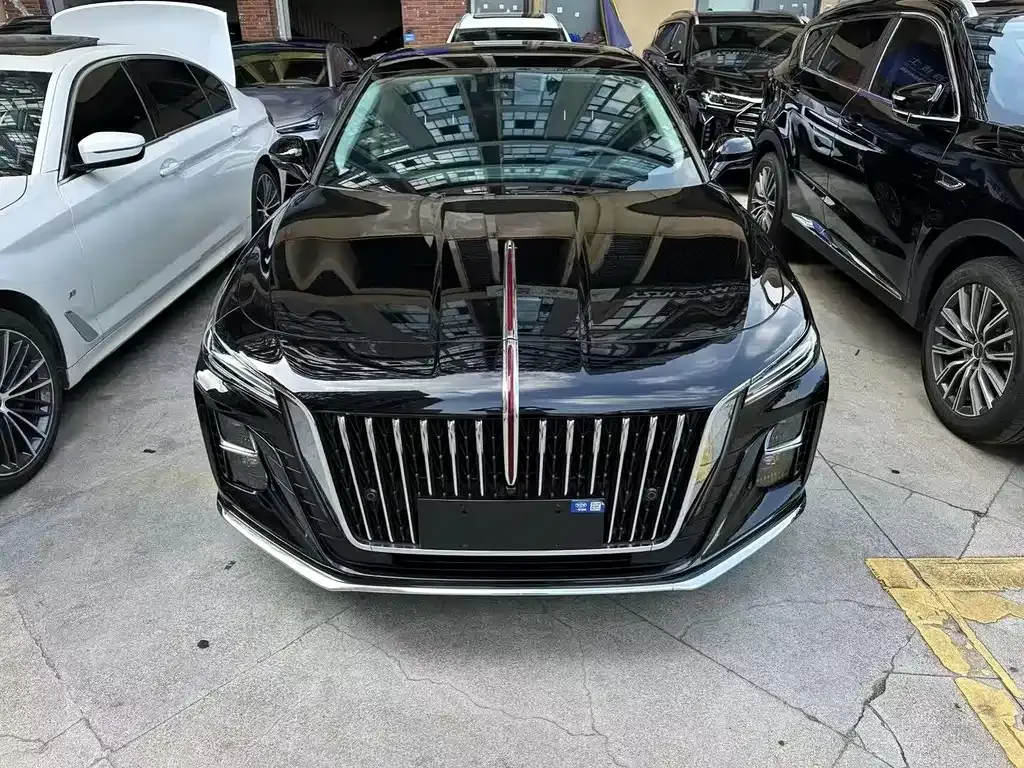 Hongqi H5 2023 из CN, фото 4