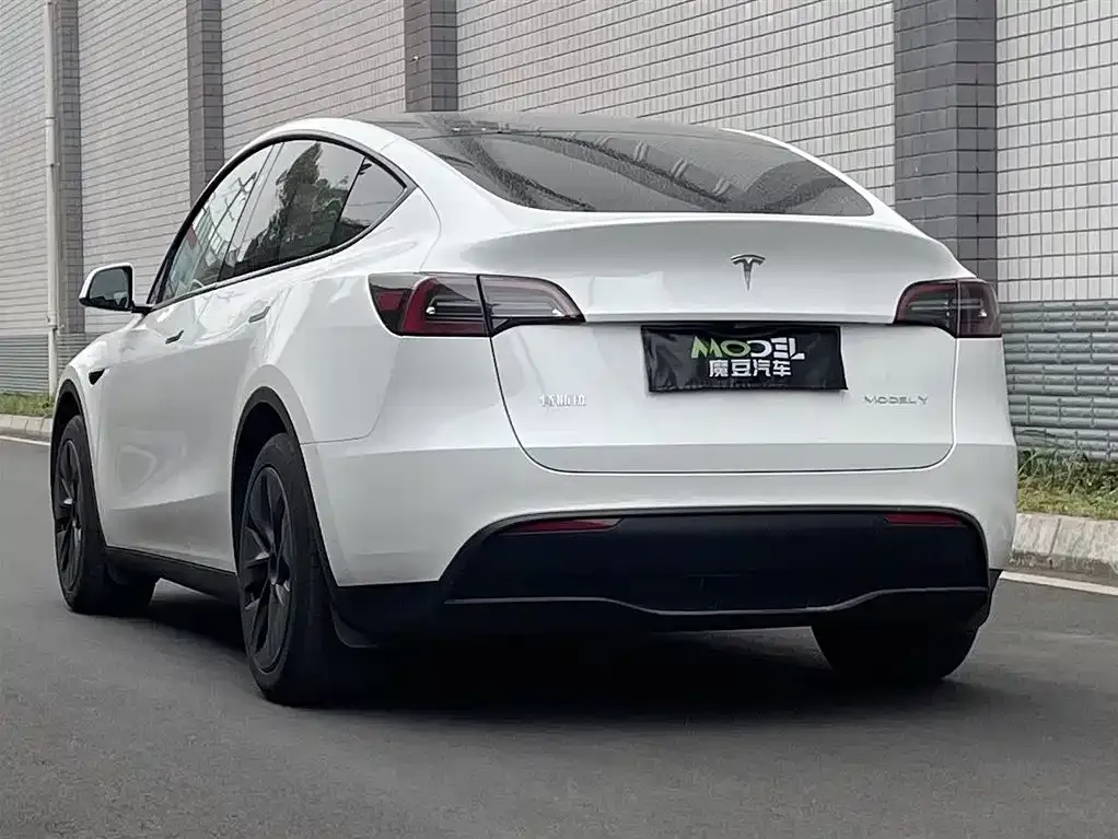Tesla Model Y — фото 9