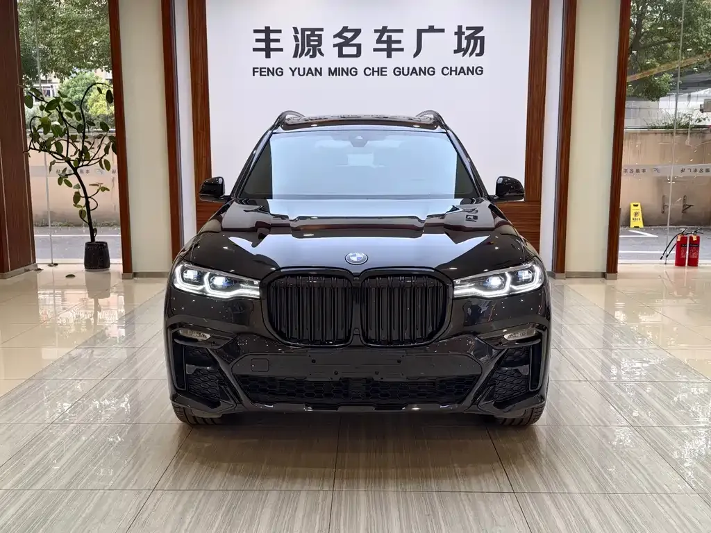 BMW X7 2021 из CN, фото 4
