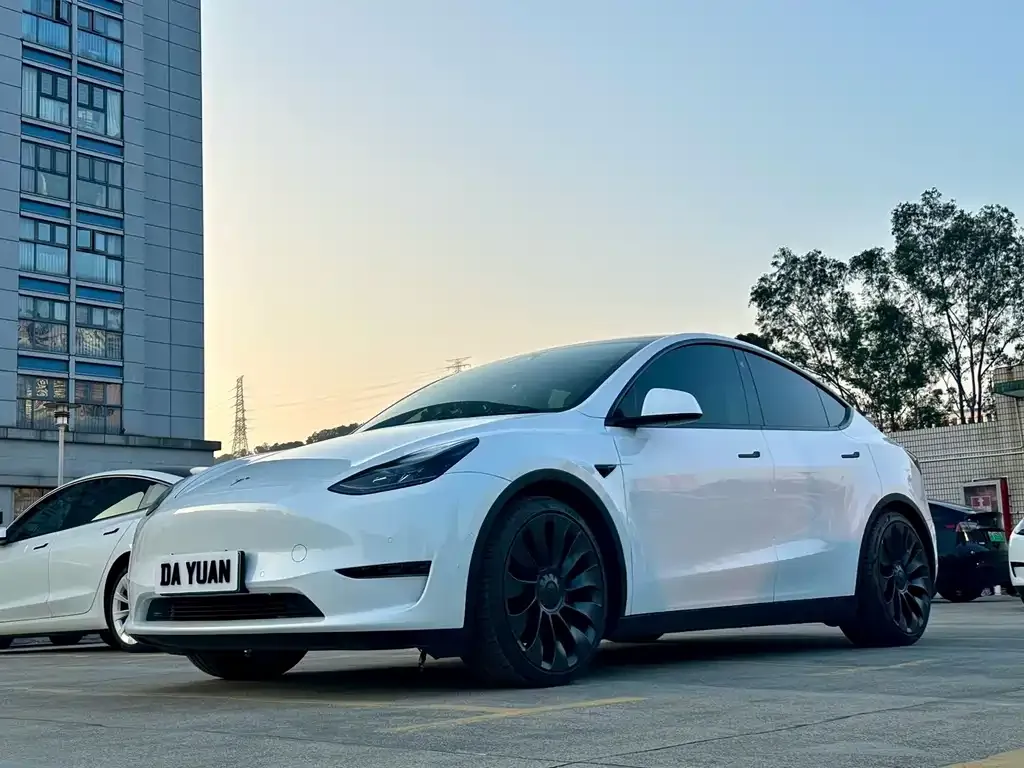 Tesla Model Y — фото 1