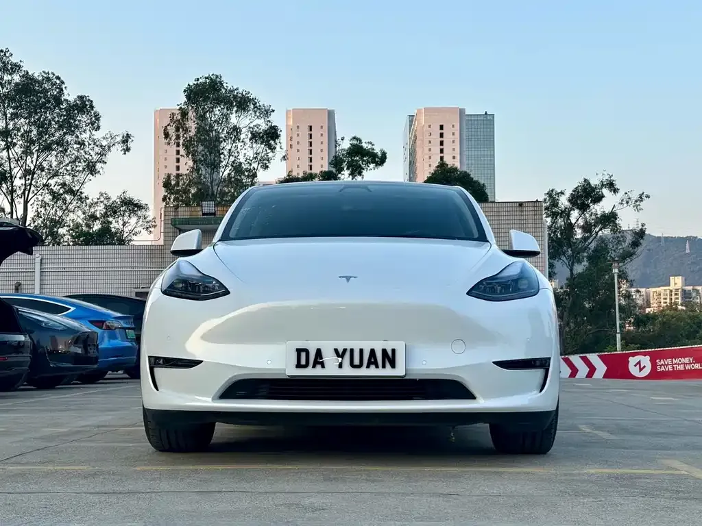 Tesla Model Y — фото 10