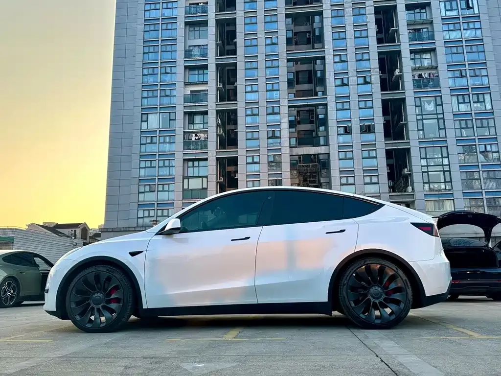 Tesla Model Y — фото 6