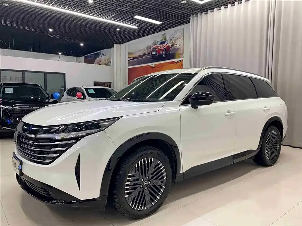 Nissan Teramont 2024 из CN, фото 1