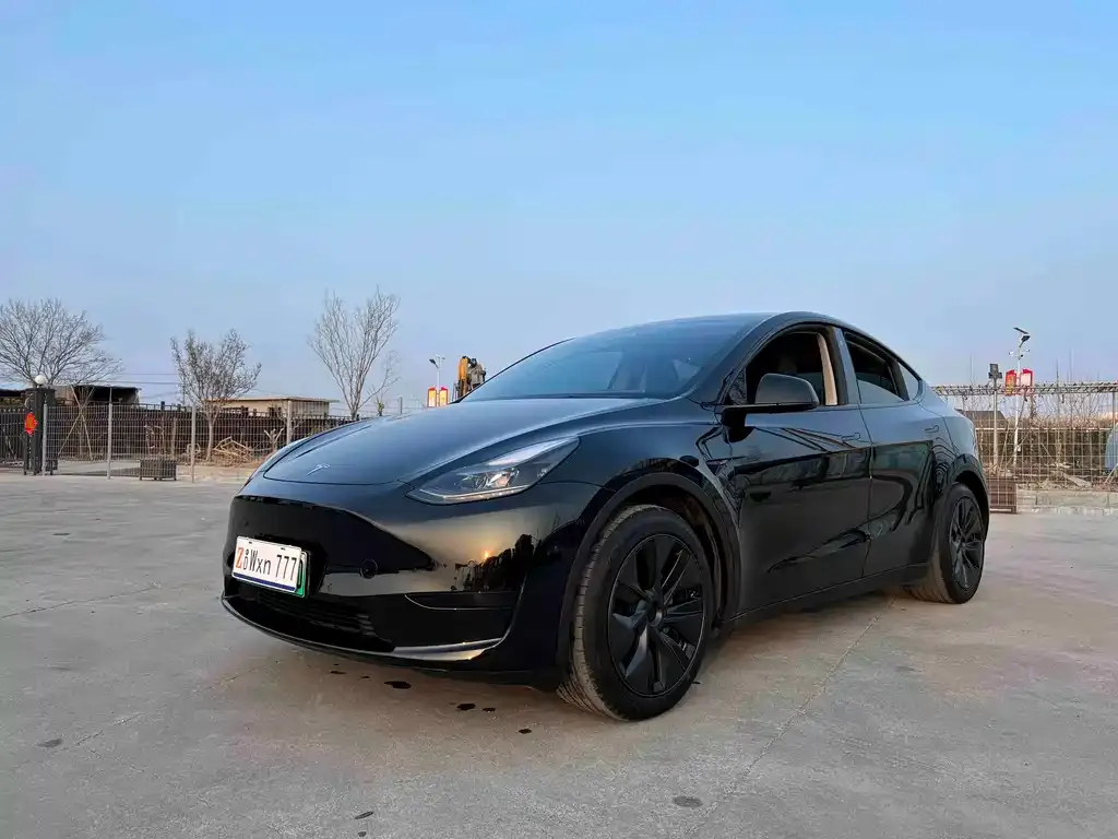 Tesla Model Y — фото 1