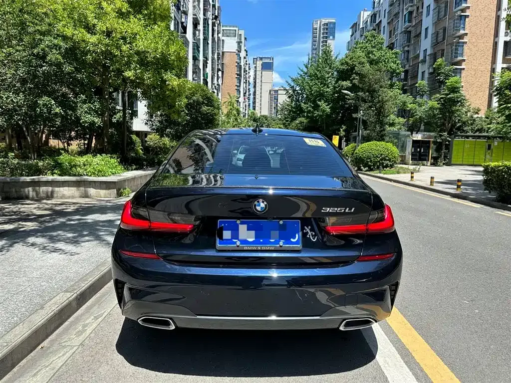 BMW 3 Series 2021 из CN, фото 9