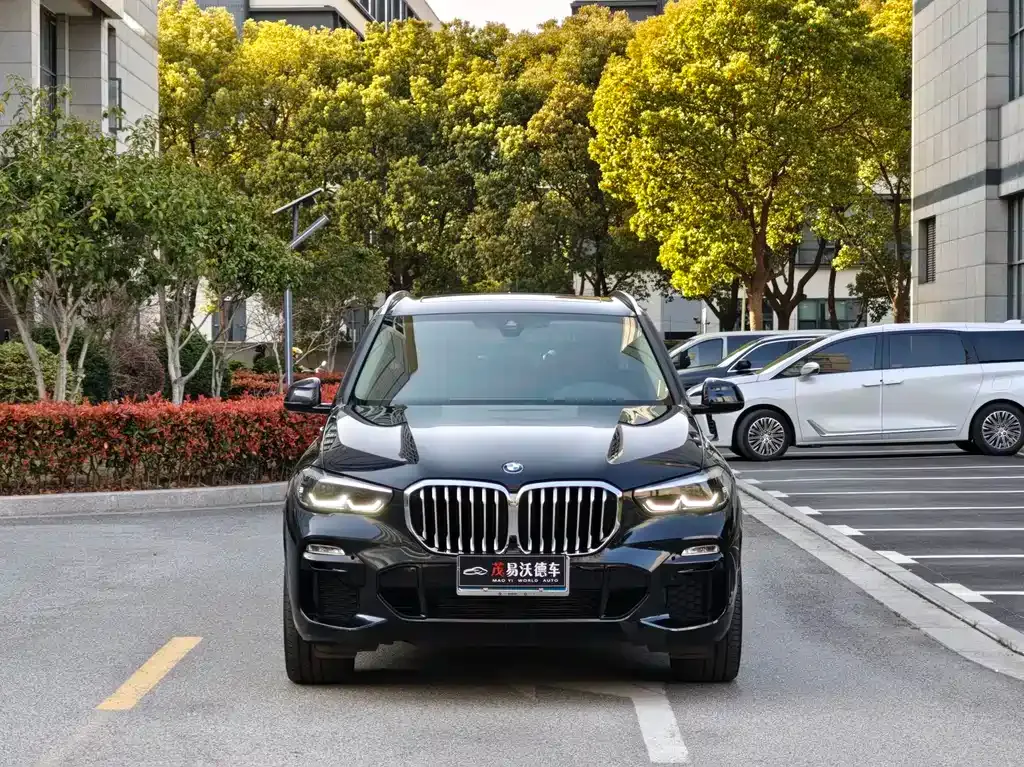 BMW X5 (Import) — фото 7