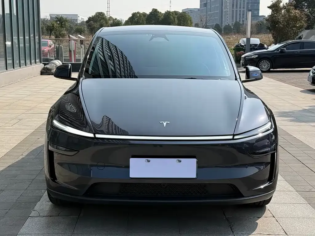Tesla Model Y — фото 5